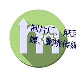 制片厂、麻豆映画传媒、天美传媒、蜜桃传媒、星空传媒、精 （蕴涵）