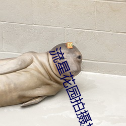 流星花园拍摄地