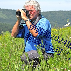 伊园甸2024直达入口音响周日深马开跑!线上也可“参赛”