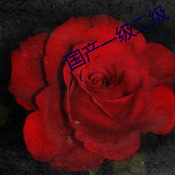 国(國)产(産)一级(級)二级