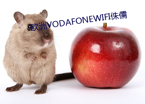 欧洲VODAFONEWIFI侏儒