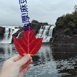 独厚!麻豆久久国产亚洲精品超碰热“好为人师”