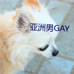 亞洲男GAY