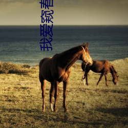 我(我)爱窥春(春)色