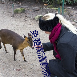 免费高清影院