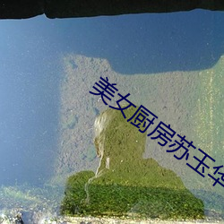 美女厨房苏玉华