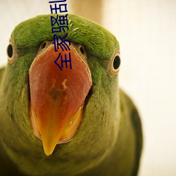 全家骚乱史2