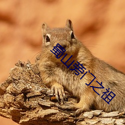 金年会 | 诚信至上金字招牌