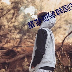 星夢奇緣韓劇完整免費觀看