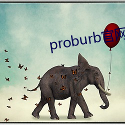 proburb官网链接