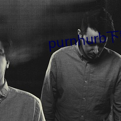 purnhurb下载地址