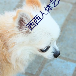 西西人(rén)体艺(yì)术(shù)