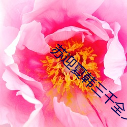 苏(蘇)迎(迎)夏韩(韓)三(三)千全文免费阅(閱)读