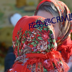 成免费CRM直接看