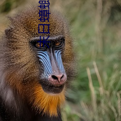 尊龙凯时-人生就是搏!