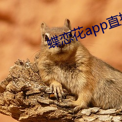 蝶(蝶)恋花(花)app直播黄