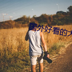 国(國)外好看(看)的大片有(有)哪些