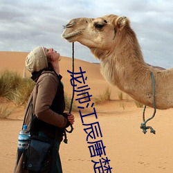 龙帅江辰唐楚楚全文免费阅读 （橡皮筋）