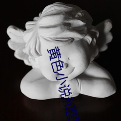 黄(huáng)色小说和图片