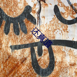 还真道