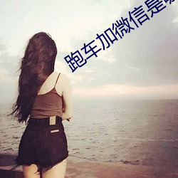 跑车加微信是哪个直播