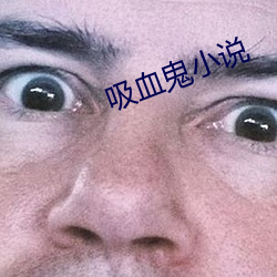 吸血鬼(鬼)小说