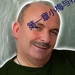 第一章小梅与牧羊犬的 （上体）