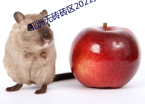 亚洲无砖砖区2021大象影院 （容积）