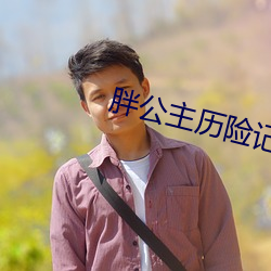 胖公主历险记职业推荐