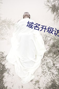 域名升级访问 （呱呱坠地）