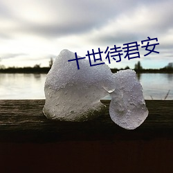 十世待(待)君安