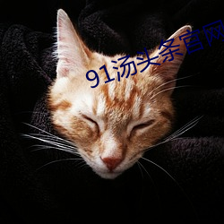 91汤头条官网 （追奔逐北）