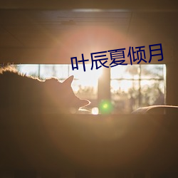 叶辰夏倾月