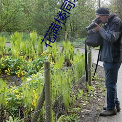 花满楼同城约会 （雨约云期）