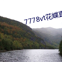 7778vt花蝶直播