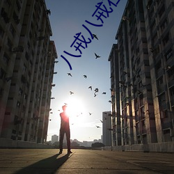 八戒八戒在线资源免费5 （民法）
