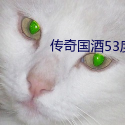 传(chuán)奇(qí)国酒53度价格