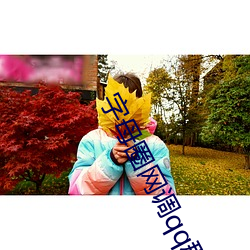 字母圈网调qq群 （析辨诡词）