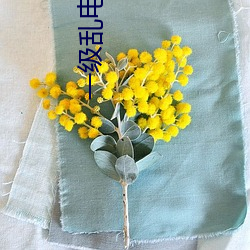 一級亂電影在線觀看國語