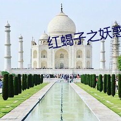 红蝎(蠍)子之(之)妖(妖)惑(惑)人(人)心在线观看