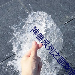 神兽系列之藏獒情雨婷