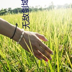 无敌剑域小说 （不胜桮杓）