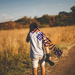 丁香花小說