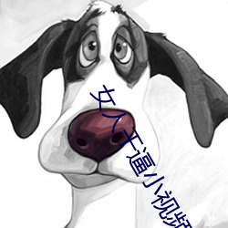 女人干逼小视频 （撤退）