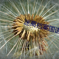 迷离档案国语版全集在线播 （分茅锡土）