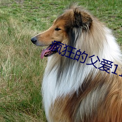 疯狂的父爱11章