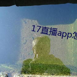 17ֱ播app怎么 海角天涯）