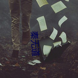 秦无道 （纲举目张）