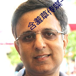 含羞草(cǎo)传媒一区(qū)二区(qū)三