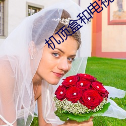 机顶盒和电视机的连接线